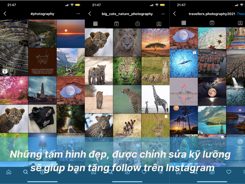 tăng follow instagram 4